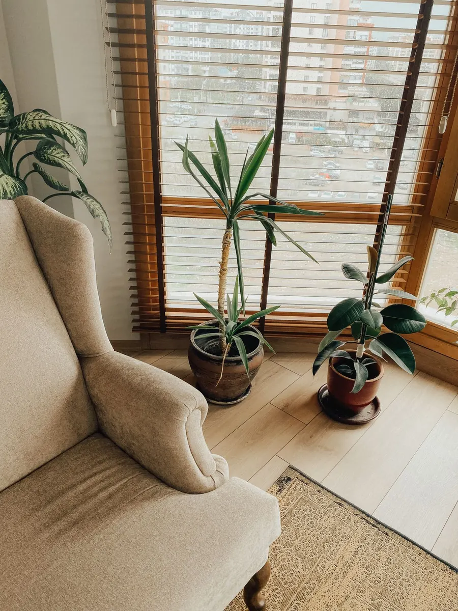 Sillón junto a una ventana con plantas