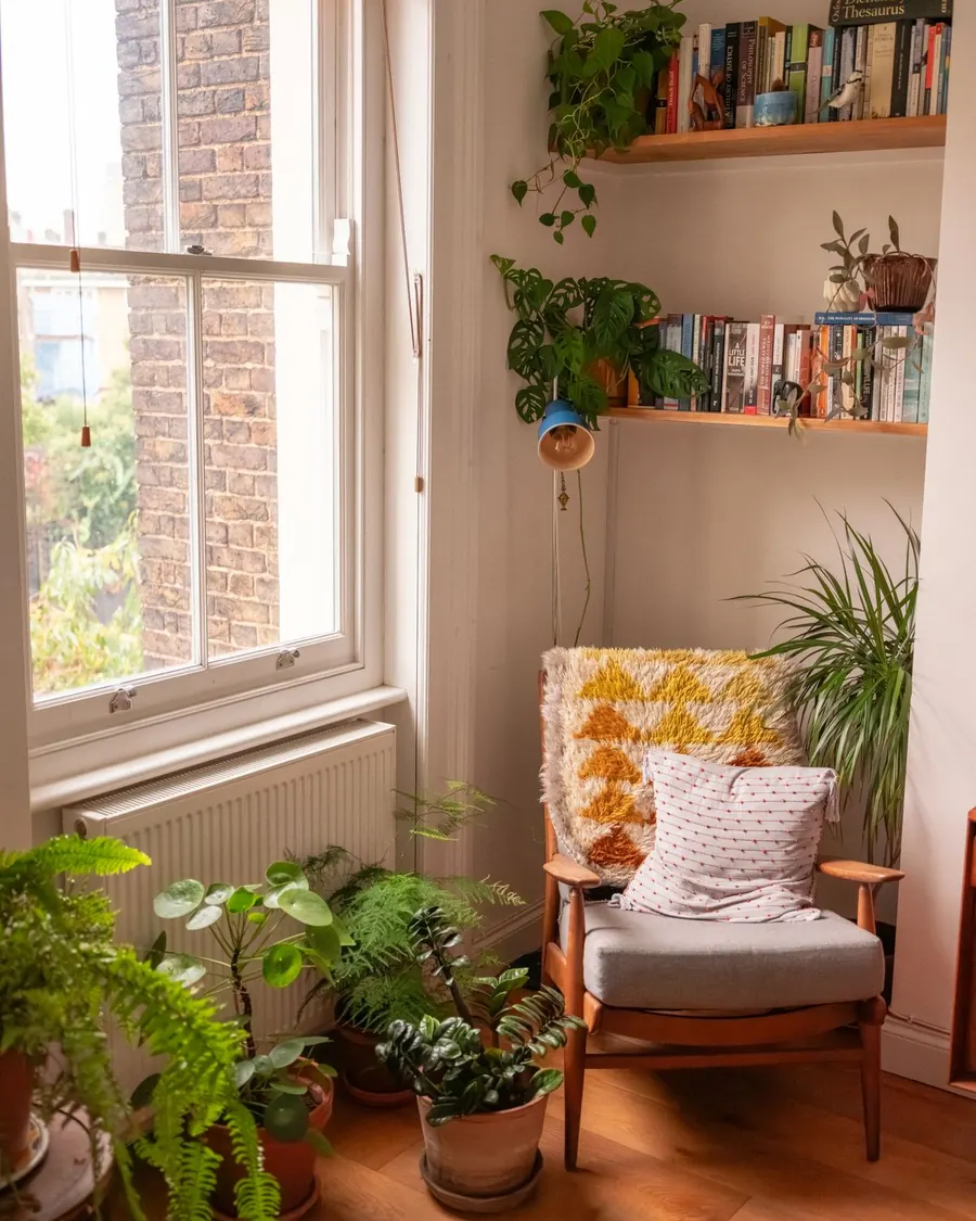 Rincón del consultorio con un sillón, plantas y biblioteca