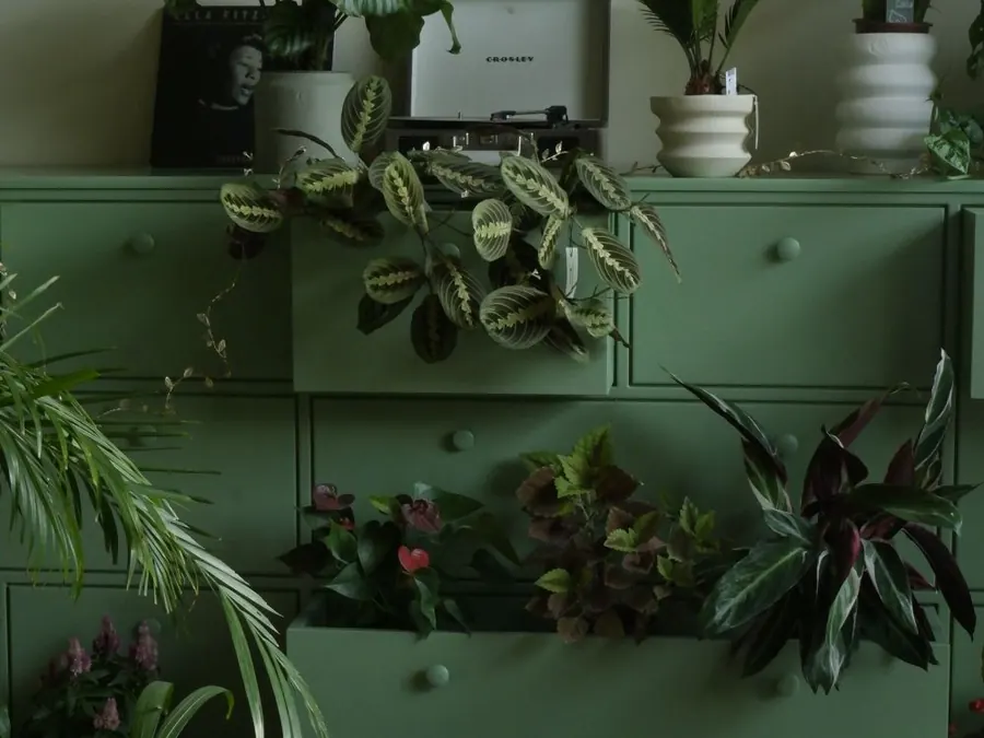 Mueble verde con plantas en los cajones